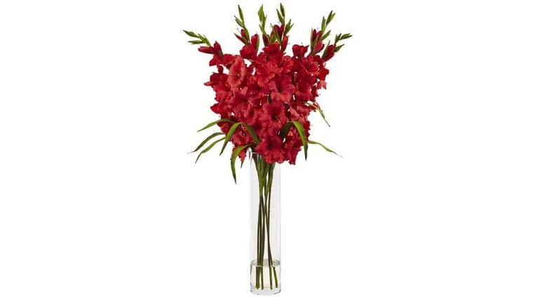 Large Gladiola w/Cylinder Vase Silk Arrangement | Rental