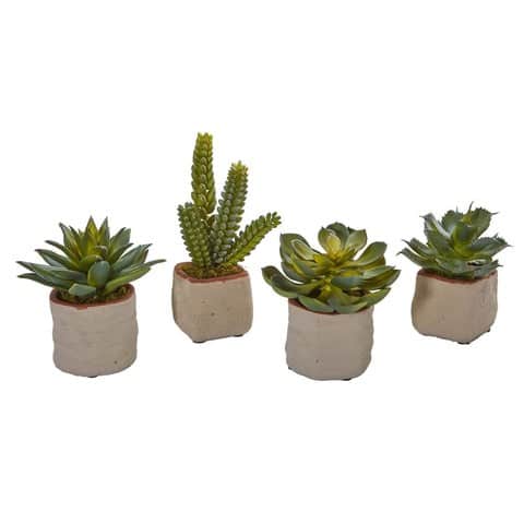 Mixed Succulent Artificial Plant (Set of 4) | Rental Mixed Succulent Artificial Plant (Set of 4) | Rental