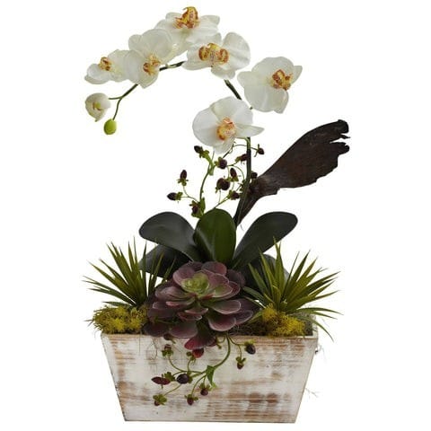 Orchid & Succulent Garden w/White Wash Planter | Rental Orchid & Succulent Garden w/White Wash Planter | Rental