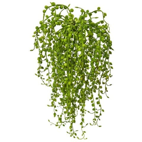 Senecio Artificial Succulent (Set of 3) | Rental Senecio Artificial Succulent (Set of 3) | Rental