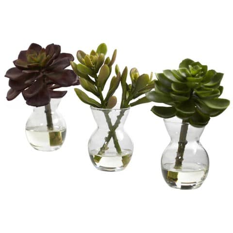 Succulent Arrangements (Set of 3) | Rental Succulent Arrangements (Set of 3) | Rental