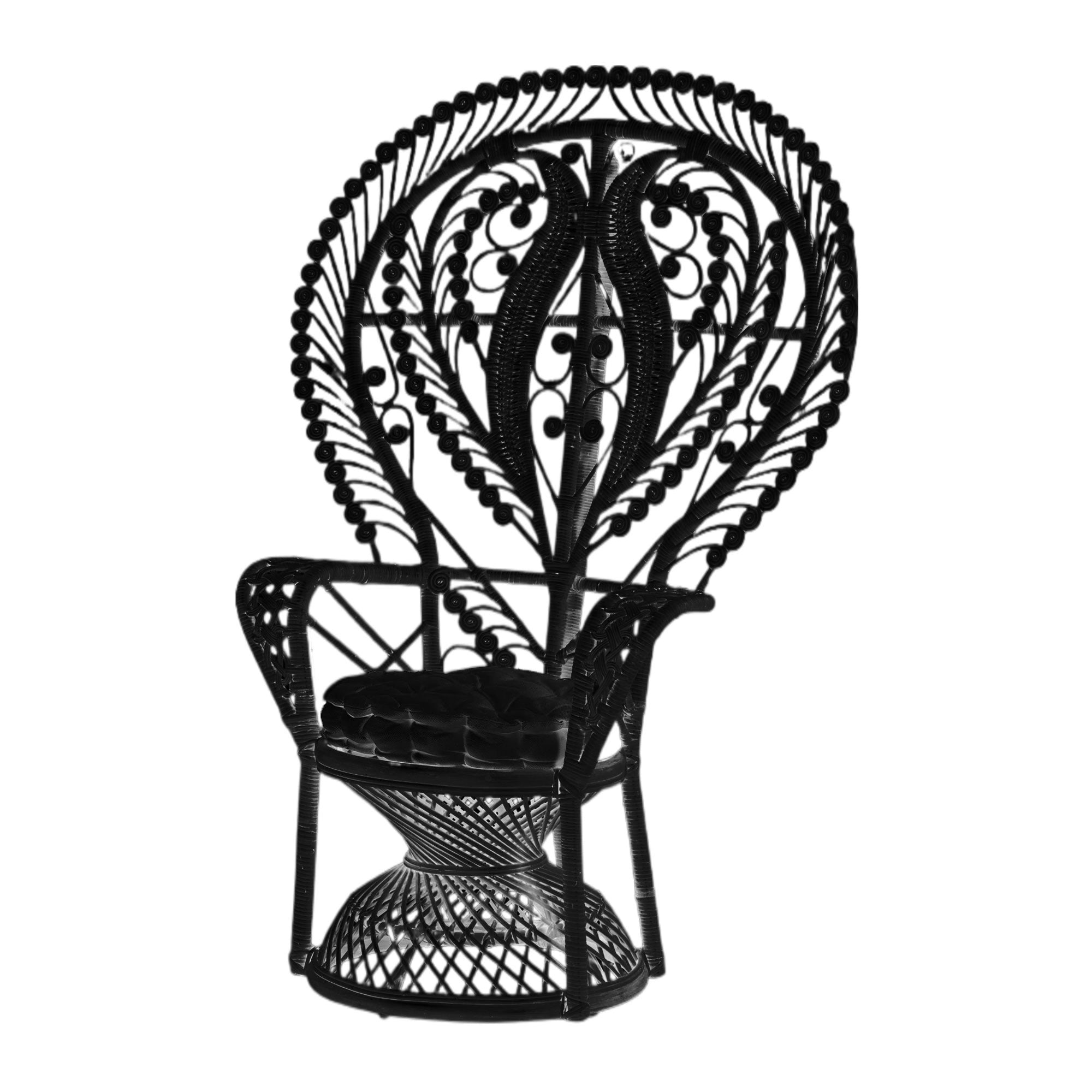 Adult Black Whimsical Peacock Chair | Rental Adult Black Whimsical Peacock Chair | Rental