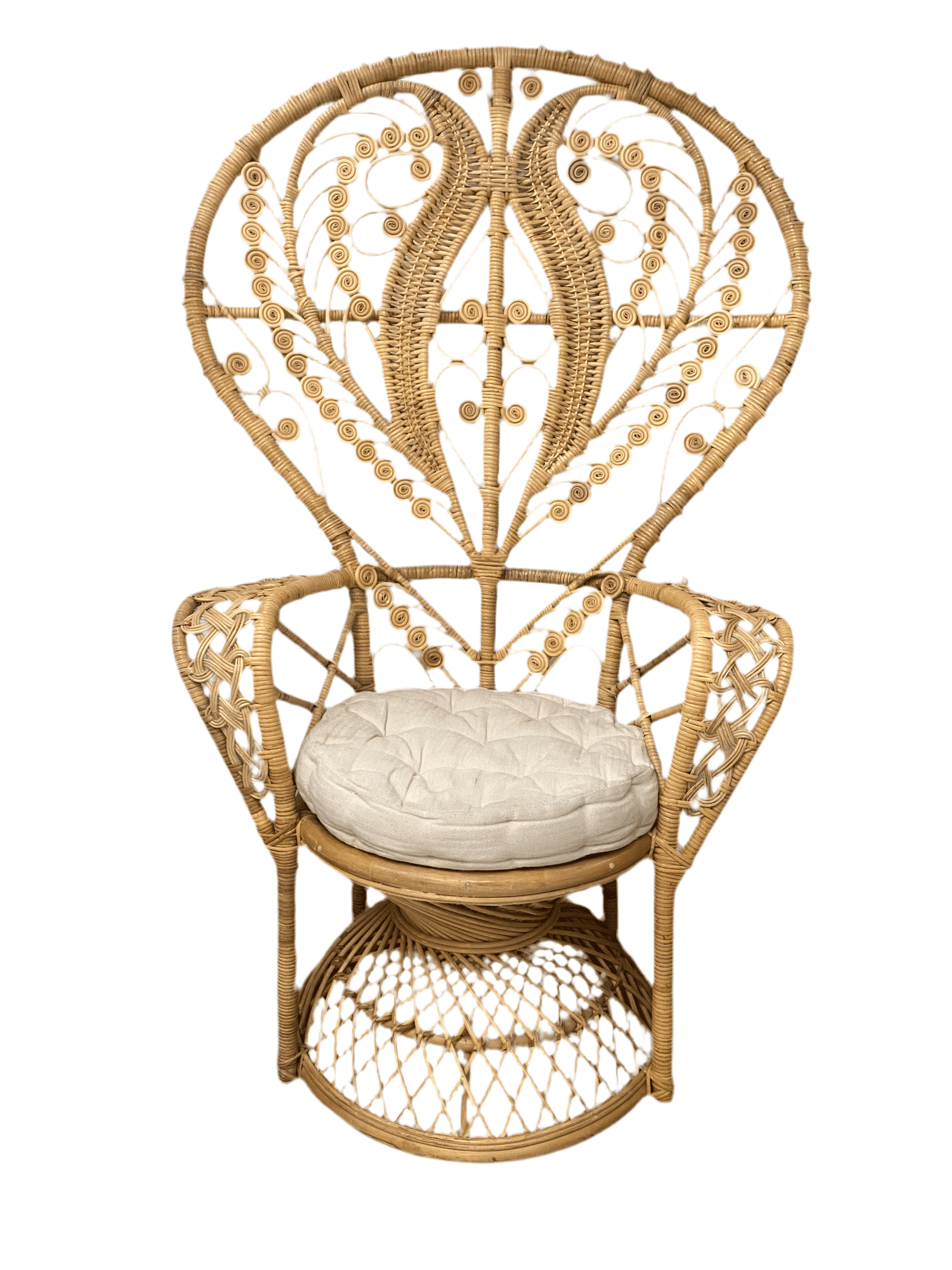 Adult Non-Feather Whimsical Peacock Chair | Rental Adult Non-Feather Whimsical Peacock Chair | Rental