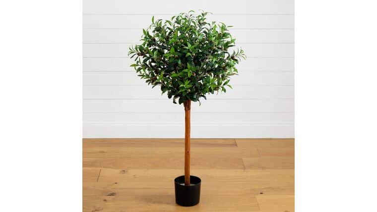 4’ Olive Topiary Silk Tree | Rental 4’ Olive Topiary Silk Tree | Rental
