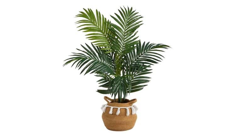 4′ Kentia Palm Artificial Tree in Boho Chic Handmade Natural Cotton Woven Planter with Tassels | Rental 4′ Kentia Palm Artificial Tree in Boho Chic Handmade Natural Cotton Woven Planter with Tassels | Rental