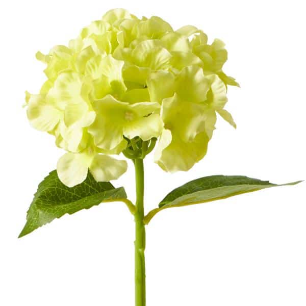 Decostar™ Artificial Hydrangea Stem – 14″ Apple Green | Rental