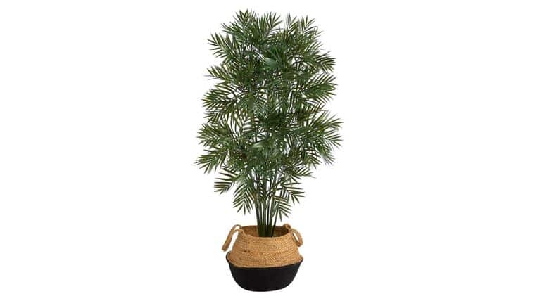 4′ Parlor Palm Artificial Tree in Boho Chic Handmade Cotton & Jute Black Woven Planter | Rental 4′ Parlor Palm Artificial Tree in Boho Chic Handmade Cotton & Jute Black Woven Planter | Rental