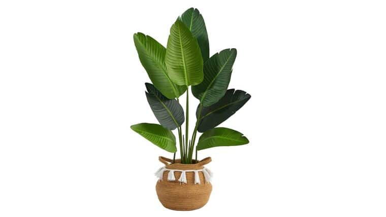 4’ Travelers Palm Artificial Tree in Boho Chic Handmade Natural Cotton Woven Planter with Tassels | Rental 4’ Travelers Palm Artificial Tree in Boho Chic Handmade Natural Cotton Woven Planter with Tassels | Rental