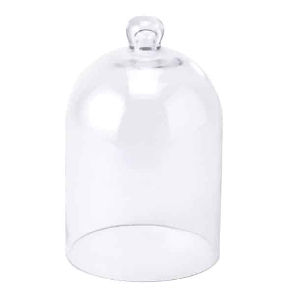 Decostar™ Glass Dome Cover | Rental