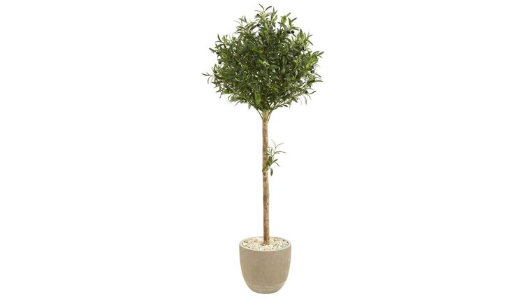 40” Olive Topiary Artificial Tree in Sand Stone Planter(Indoor/Outdoor) | Rental 40” Olive Topiary Artificial Tree in Sand Stone Planter(Indoor/Outdoor) | Rental