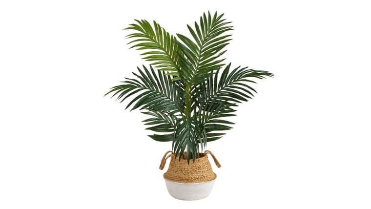 4′ Kentia Palm Artificial Tree in Boho Chic Handmade Cotton & Jute White Woven Planter | Rental 4′ Kentia Palm Artificial Tree in Boho Chic Handmade Cotton & Jute White Woven Planter | Rental