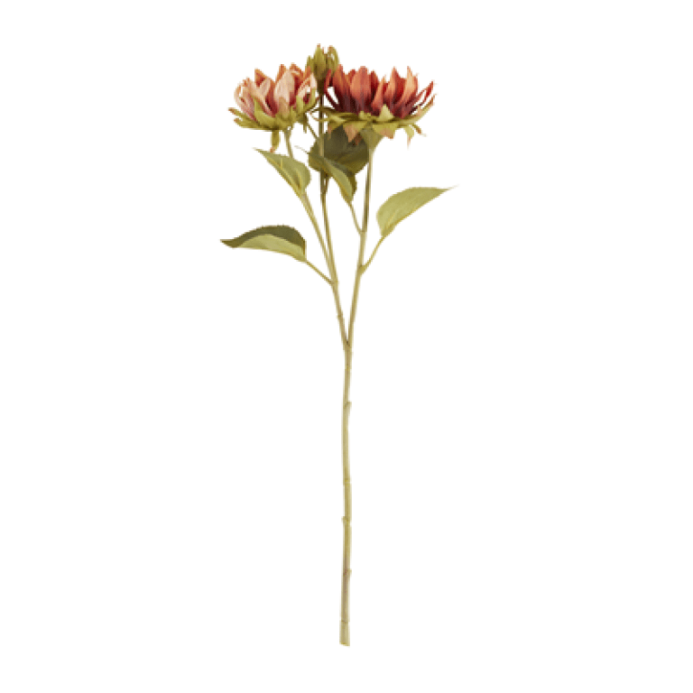 FL298 Sunflower Stem | Rental
